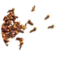 Organic Clove Extract - Purity(%): 100 %