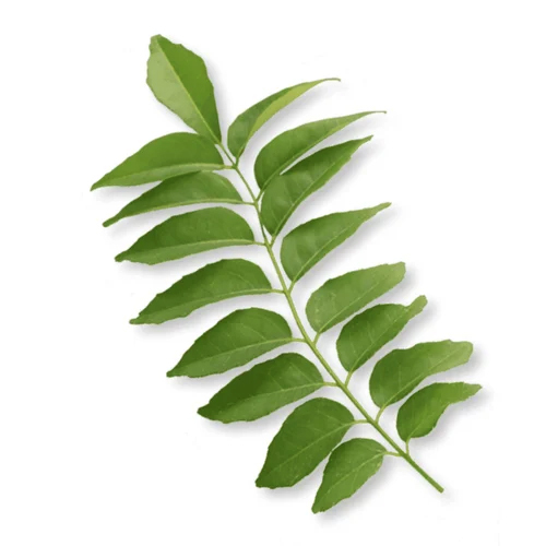 Organic Iron (3.6 %) From Curry Leaves - Ingredients: Herbs