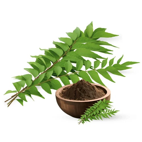 Organic Curry Leaf Extract