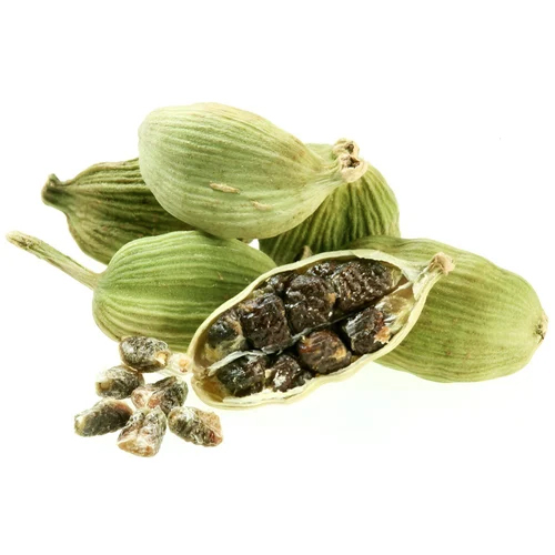 Organic Elettaria cardamomum Extract (Extract)