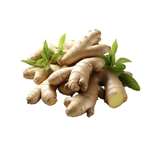 Organic Ginger Extract