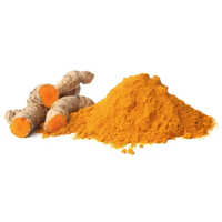 Organic Tumeric Powder Min. 5.0 % Curcumin Extract - Recommended For: All