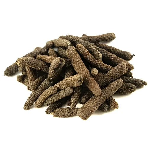 Piper longum Extract