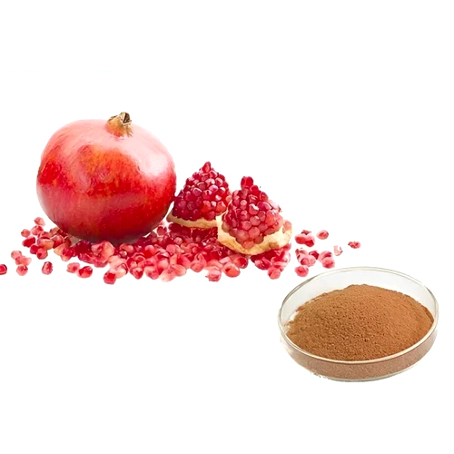 Pomegranate Extarct (Punicalagnin)