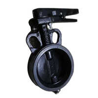 Cast Iron Butterfly Valve