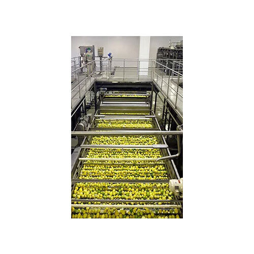 Amla Sorting Conveyor - Automatic Grade: Automatic