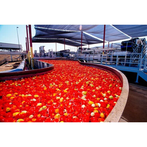 Electric Tomato Processing Plants - Automation Grade: Semi Automatic