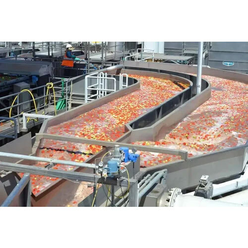 Ss Tomato Processing Plants - Automatic Grade: Semi-Automatic