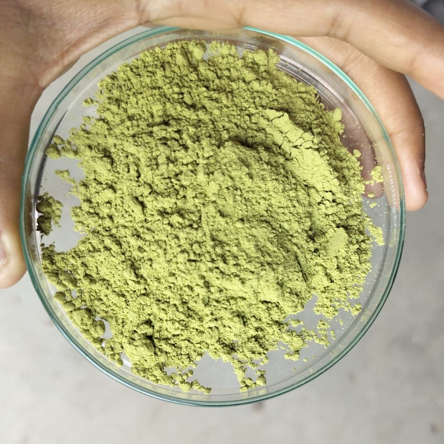 Natural Moringa Leaves Powder