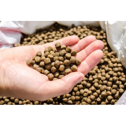 Rbi-120 Automatic Cattle Feed Making Machine - Capacity: Up To 50 Kg/hr Kg/hr