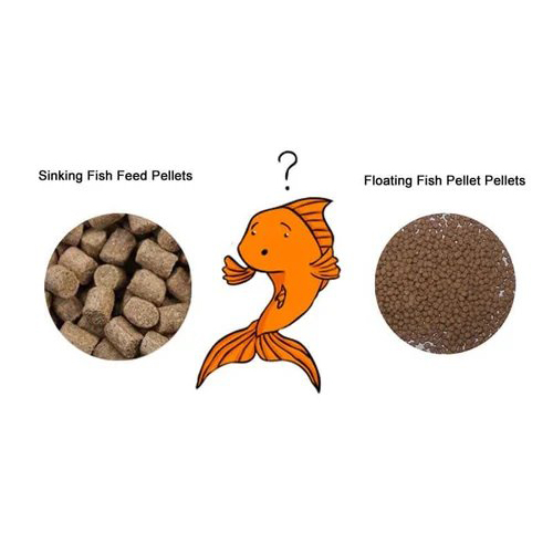 Rbi-120 Automatic Cattle Feed Making Machine - Capacity: Up To 50 Kg/hr Kg/hr