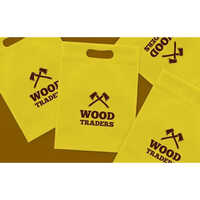 Fully Automatic Non Woven Bag Two Color Offset Printing Machine