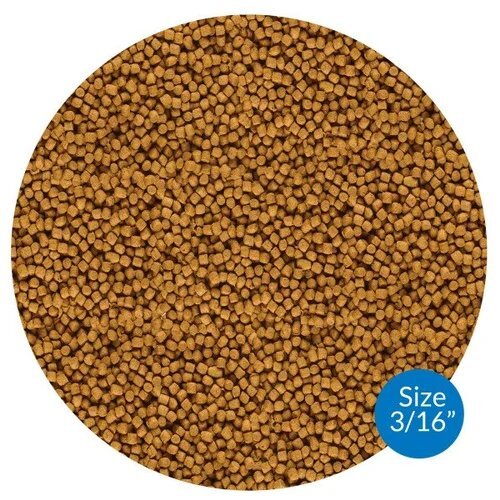 Automatic Floating Fish Feed Making Machine - Capacity: 200 Kg/hr Kg/hr