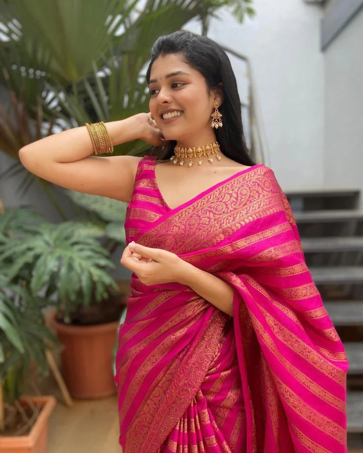 Silk Saree adorned with beautiful Zari work