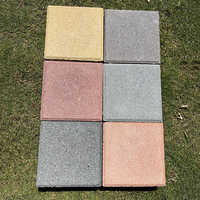 Shotblast Paver Block