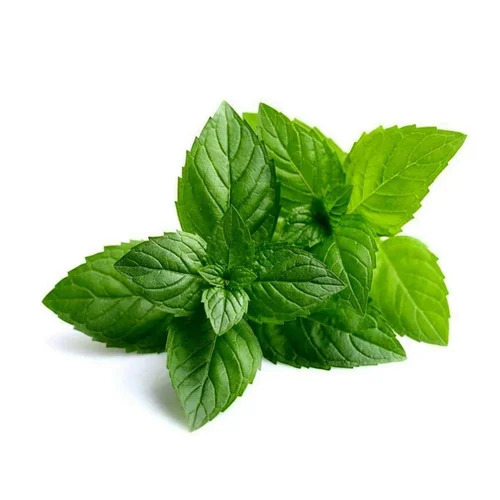 Mentha Piperata Oil
