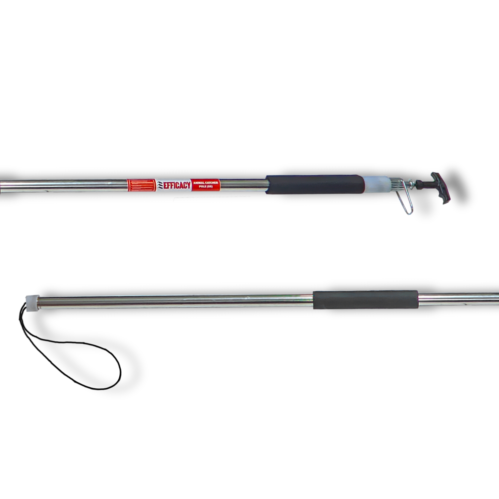 Animal Catcher Pole