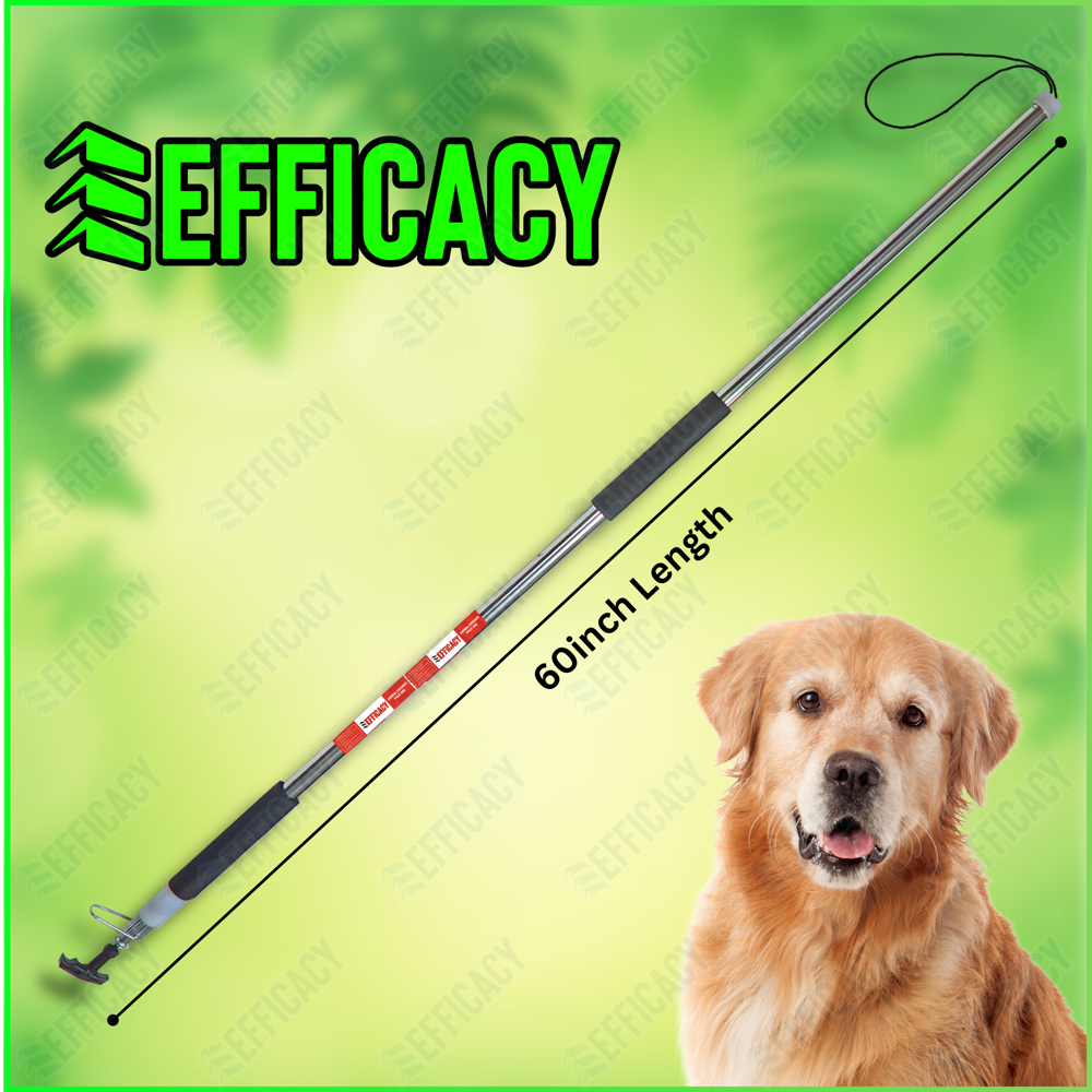 Animal Catcher Pole