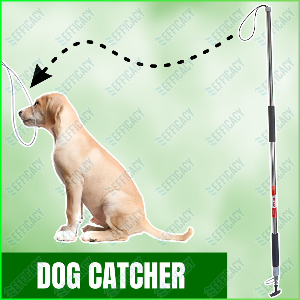Animal Catcher Pole - Finish: Not Coated