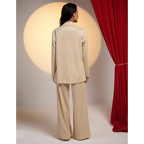 Shimmer Lycra Blazer With Pants And Bustier
