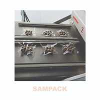 Double Chamber Vacuum Packaging Machine