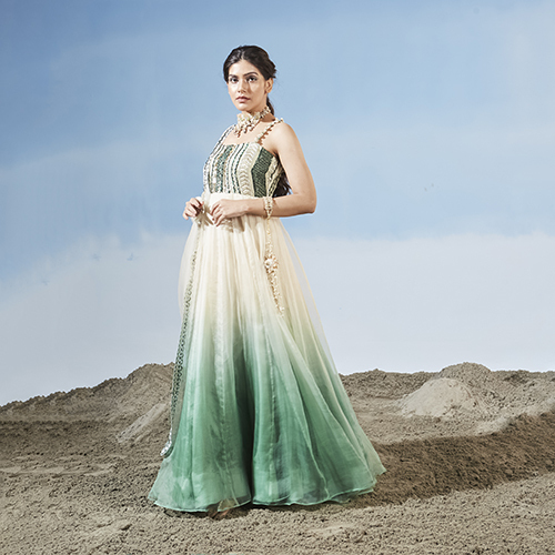 Organza Anarkali With Embroidered Bust