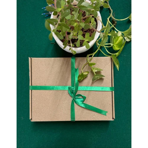 Customized Eco Friendly Stationary Gift Box