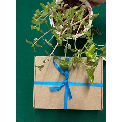 Custom Corporate Stationary Gift Box