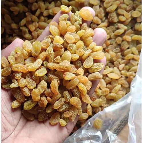 Fresh Raisin - Cultivation Type: Common