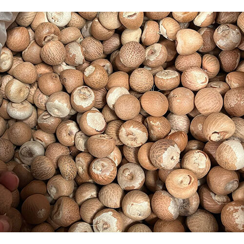 Betel nuts