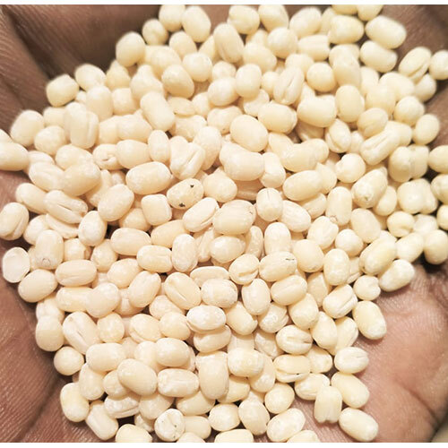 Urad Dal - Cultivation Type: Common