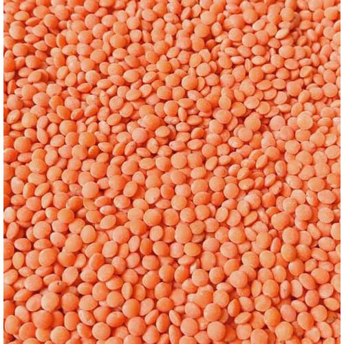 Masoor Dal - Cultivation Type: Common
