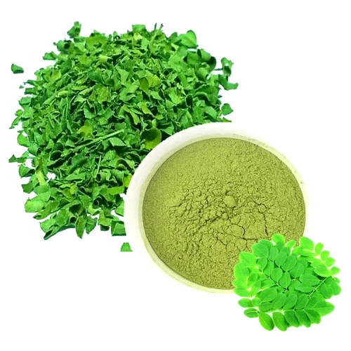 Dried Moringa Leaves Powder - Grade: Medicine Grade