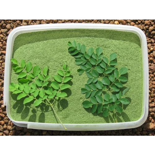 Dried Moringa Leaves Powder By Go 4 Organics