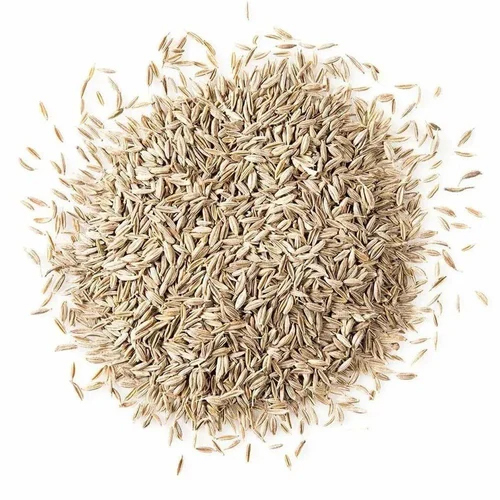White Cumin Seeds - Color: Brown