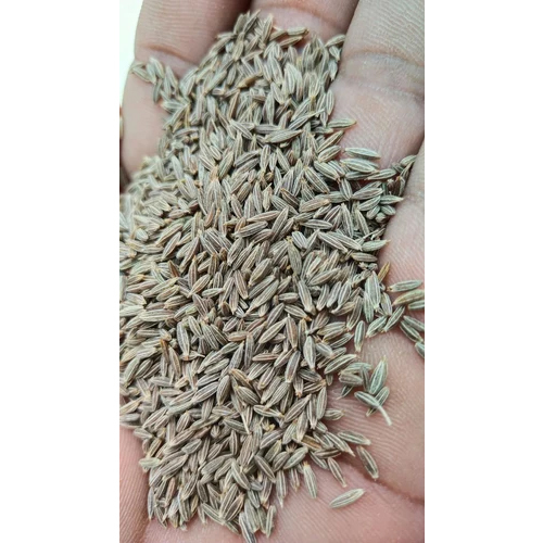 White Cumin Seeds - Color: Brown