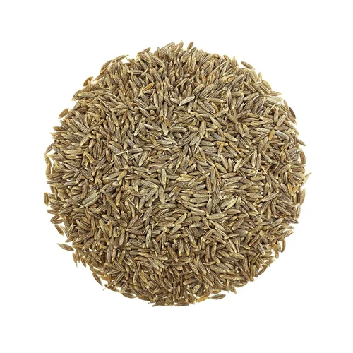 White Cumin Seeds - Color: Brown