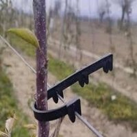 High Density Apple Plant Tie - Virgin Polymer, Flexible & Thick, Uv Treated | Anti-hail Net Clip For Easy Installation & Secure Protection