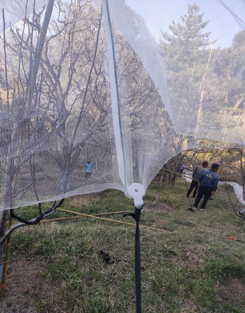 Anti Hail Net Clips