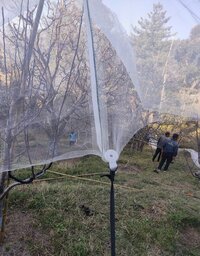 Anti Hail Net Clips