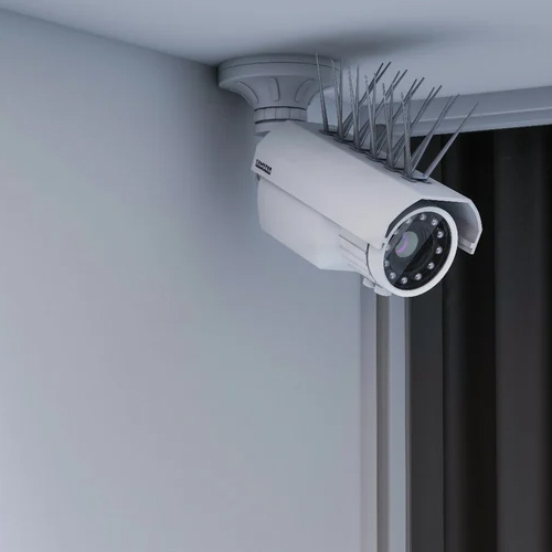 Poly Carbonate Bird Spikes