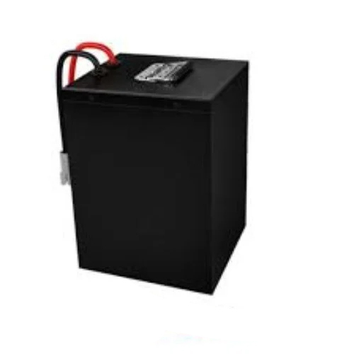 2 Weeles Lithium Ion Battery Pack