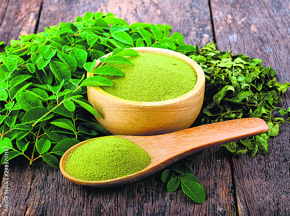 Moringa Leaf Powder - Color: Green