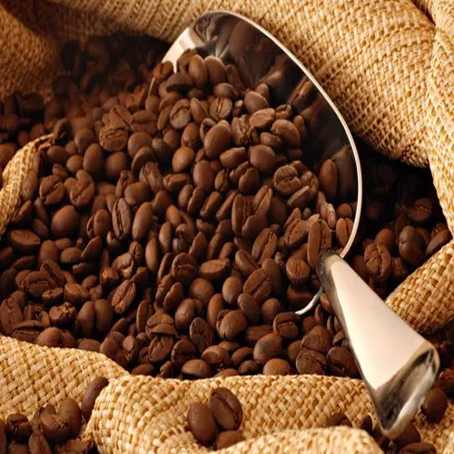 Pure Coffee Beans - Cultivation Type: Organic