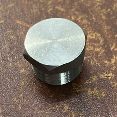 Stainless Steel Plug