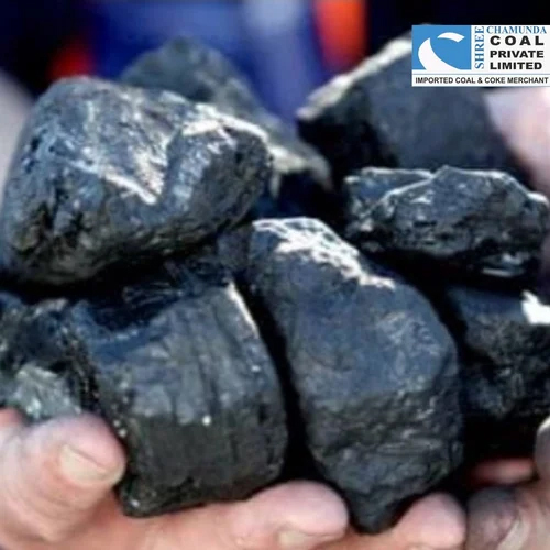 Australian Steam Coal - Coal Calorific: 5500Kcal/Kg