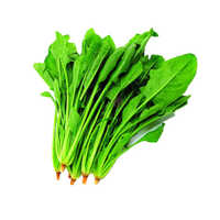 Frozen Spinach (paste) - Moisture (%): 93% Water