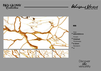 Golden Semi High Glossy