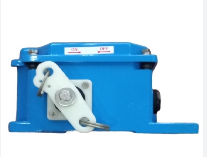Pull Cord Switch - Color: Blue Paint Coated
