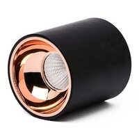 18w Round Cylindrical Surface Led Cob Spotlight - Application: Indoor
